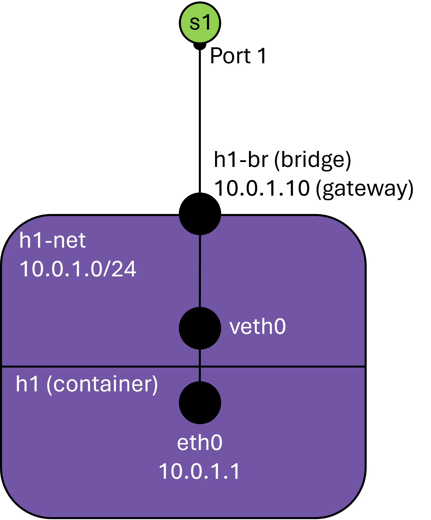 Shows how a container (h1) is connected to its network (h1-net) via a veth pair, and how that network is connected to the switch s1 via the network bridge h1-br.