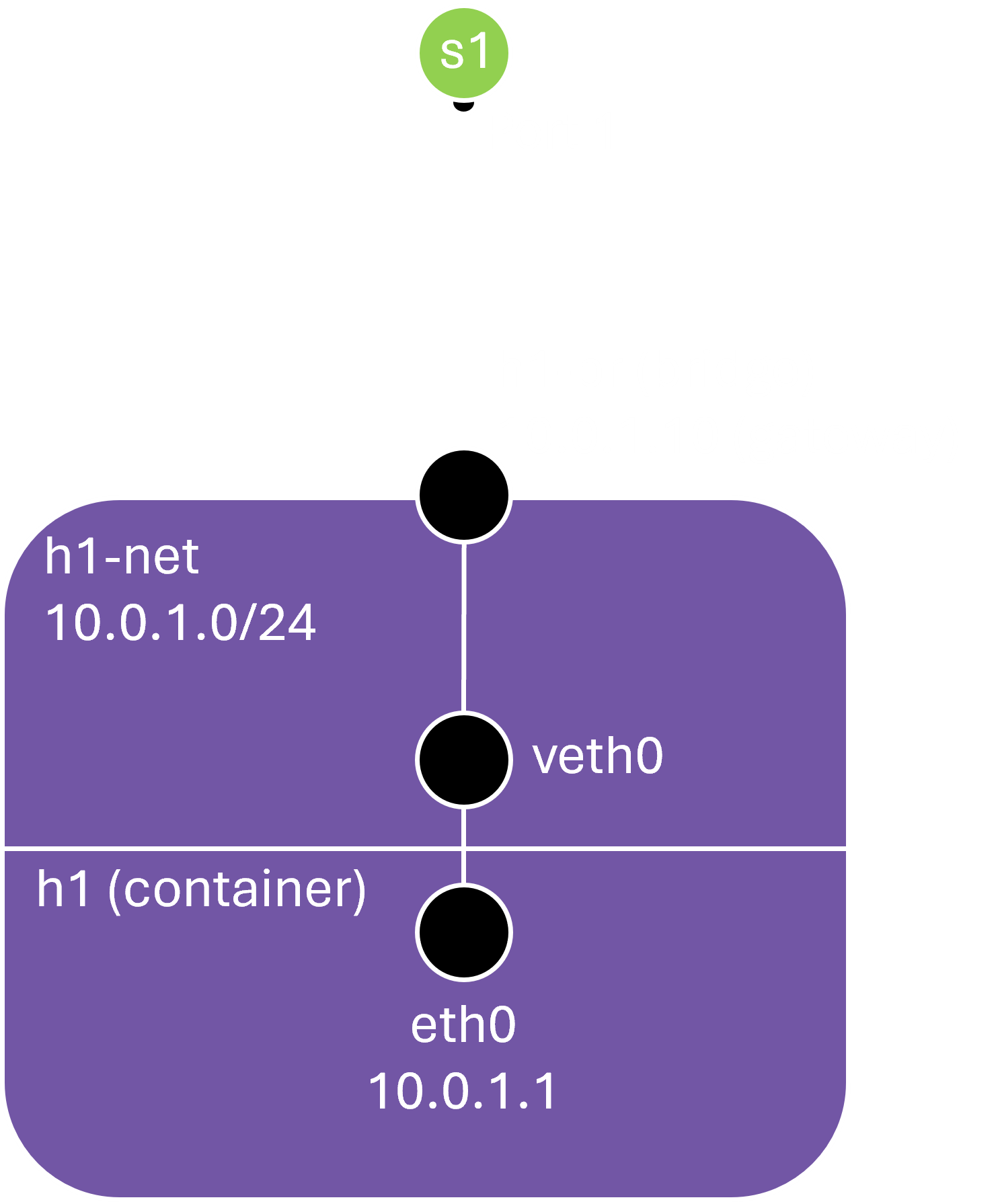 Shows how a container (h1) is connected to its network (h1-net) via a veth pair, and how that network is connected to the switch s1 via the network bridge h1-br.
